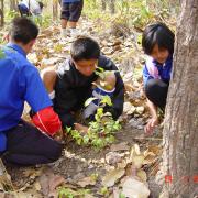 large_Youth camp_tree planting
